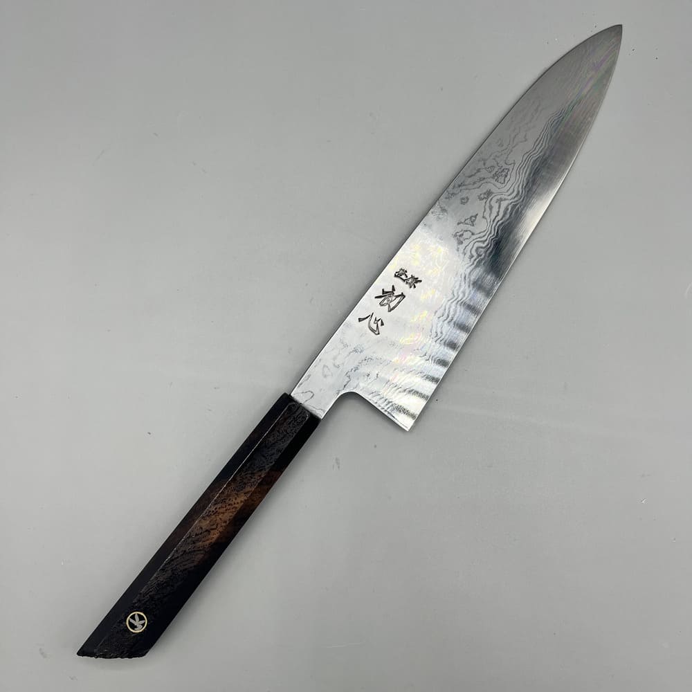Hatsukokoro Komorebi Damascus B1 gyuto 210mm EN whole knife