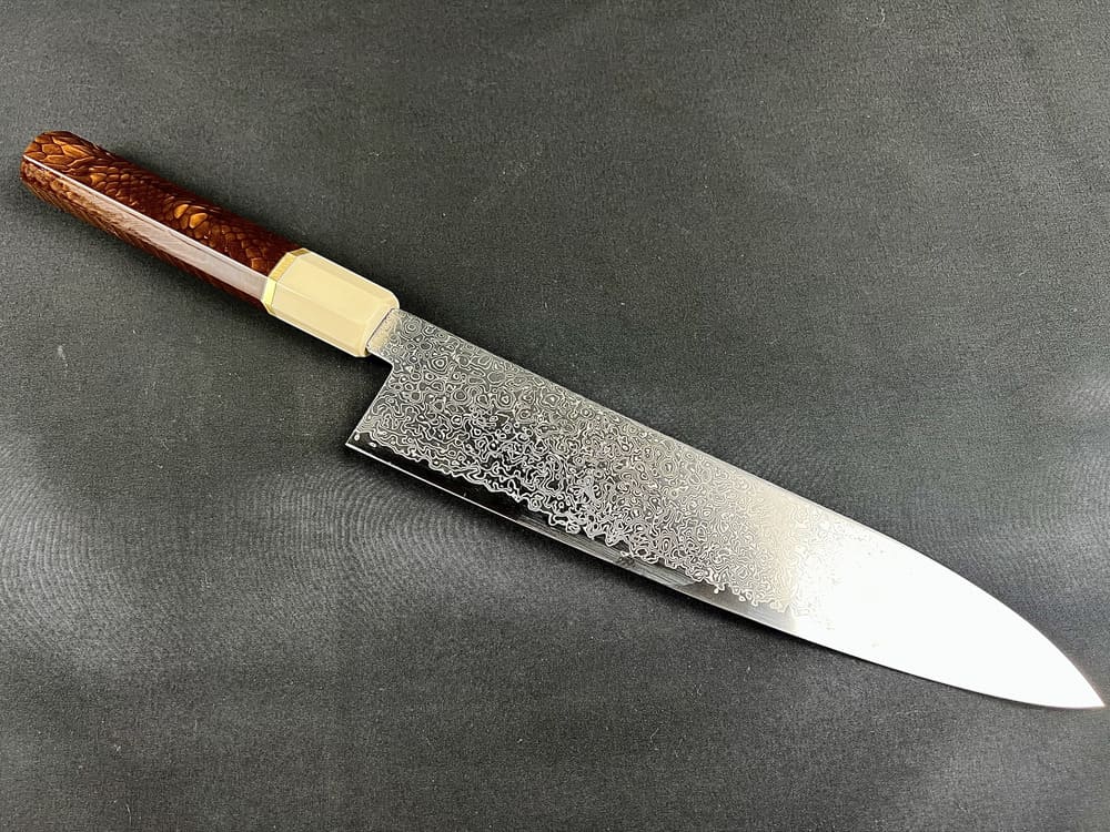 Hatsukokoro Saihyo SG2 gyuto 210mm couteau entier